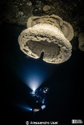 Cenote Maravilla, Hell's Bells.
The Hells Bells are spel... by Alessandro Usai 